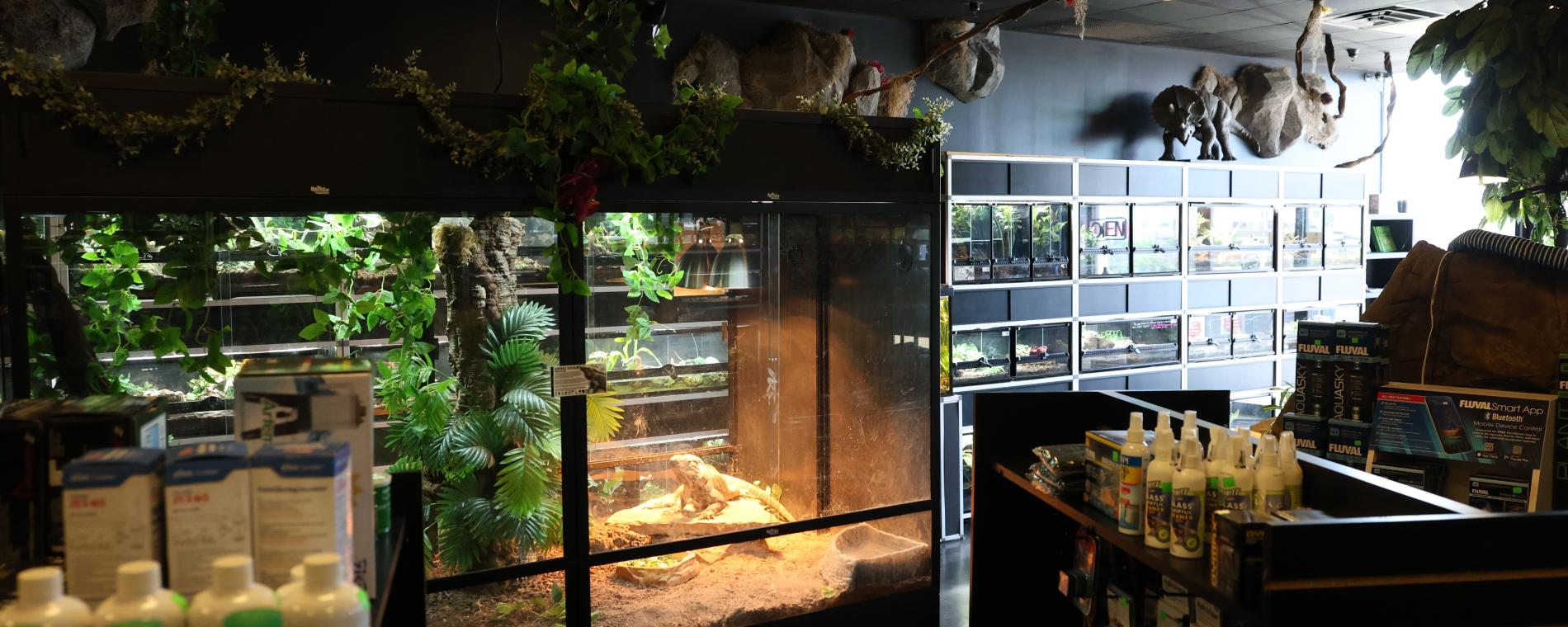 Exotic Pets 9