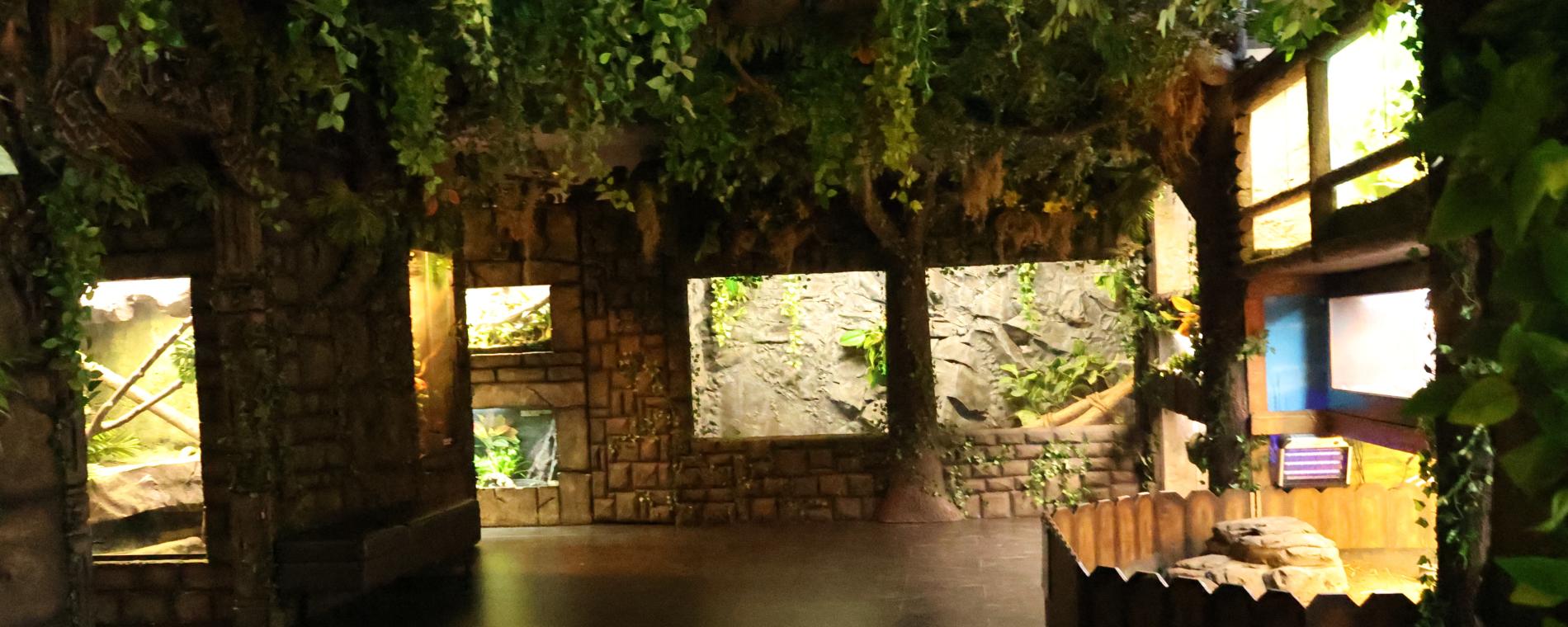 Exotic Pets/Wichita Reptile Zoo 3