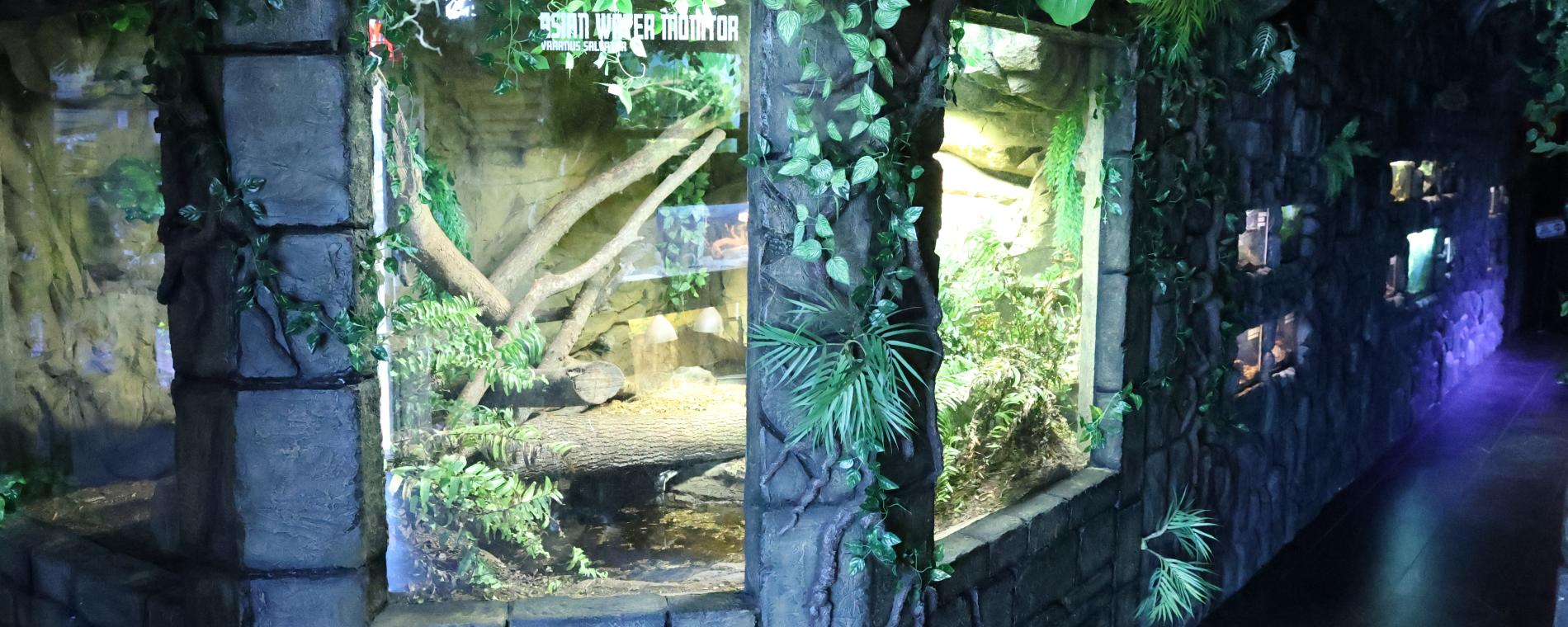 Exotic Pets/Wichita Reptile Zoo 10