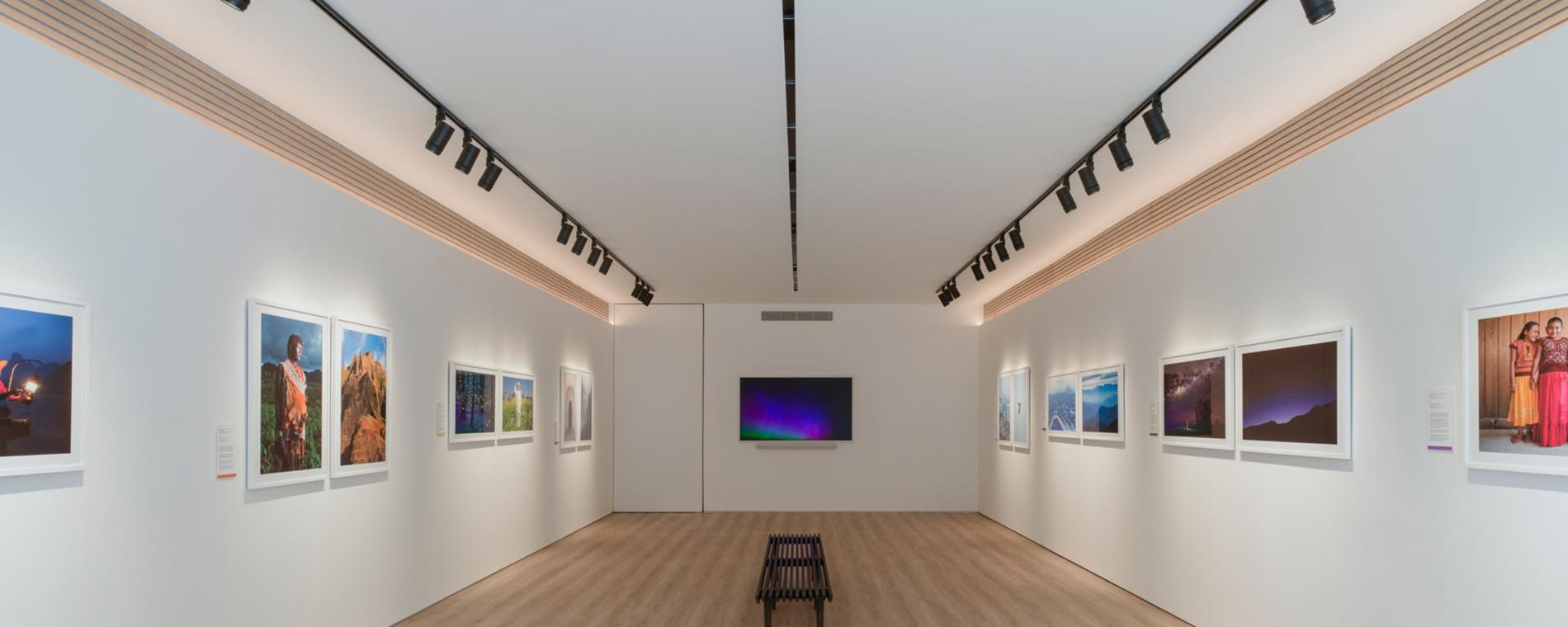 Maven Gallery, Chromatica, installation view