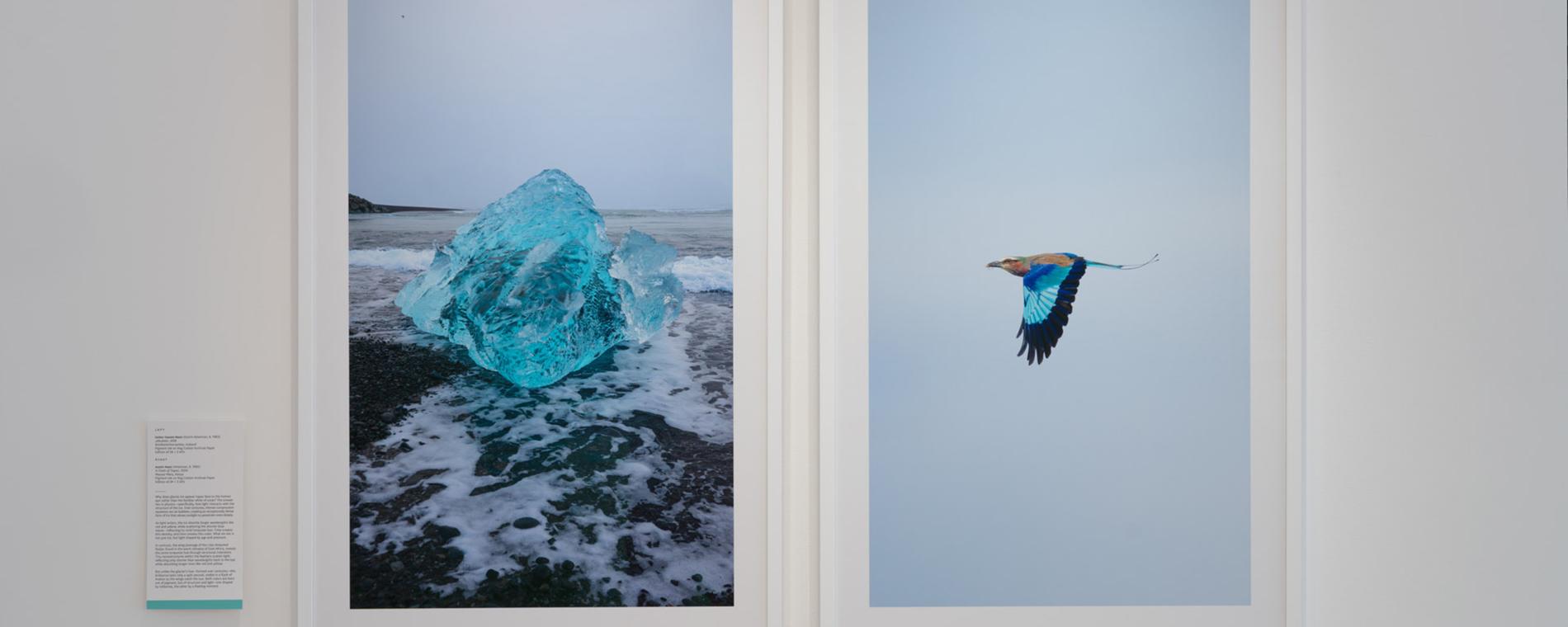 Maven Gallery 4