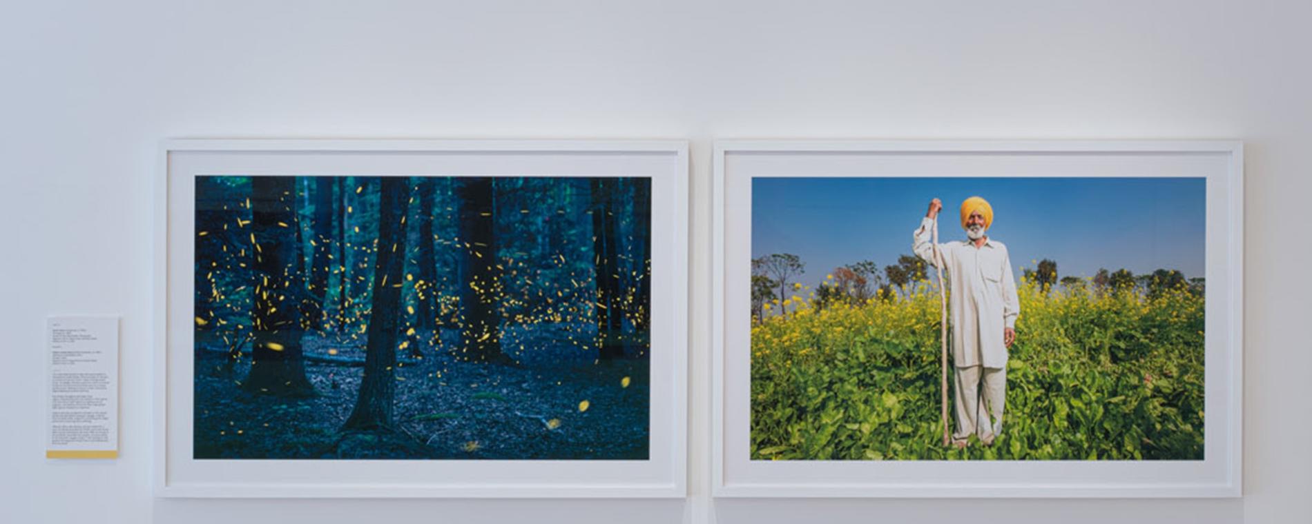 Maven Gallery 6