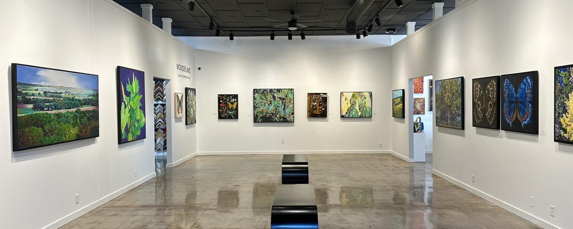 Reuben Saunders Gallery 8