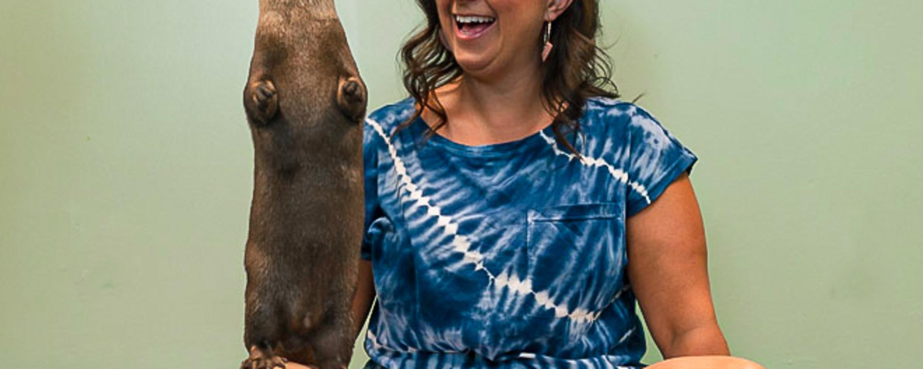 Otter meet and greet