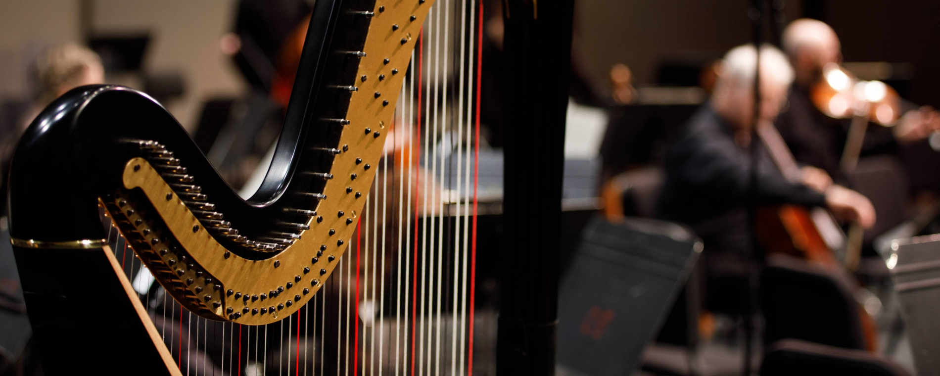 WSO 3