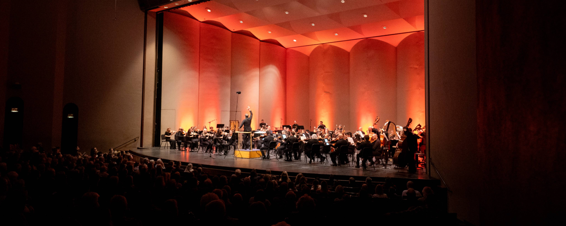 WSO 11