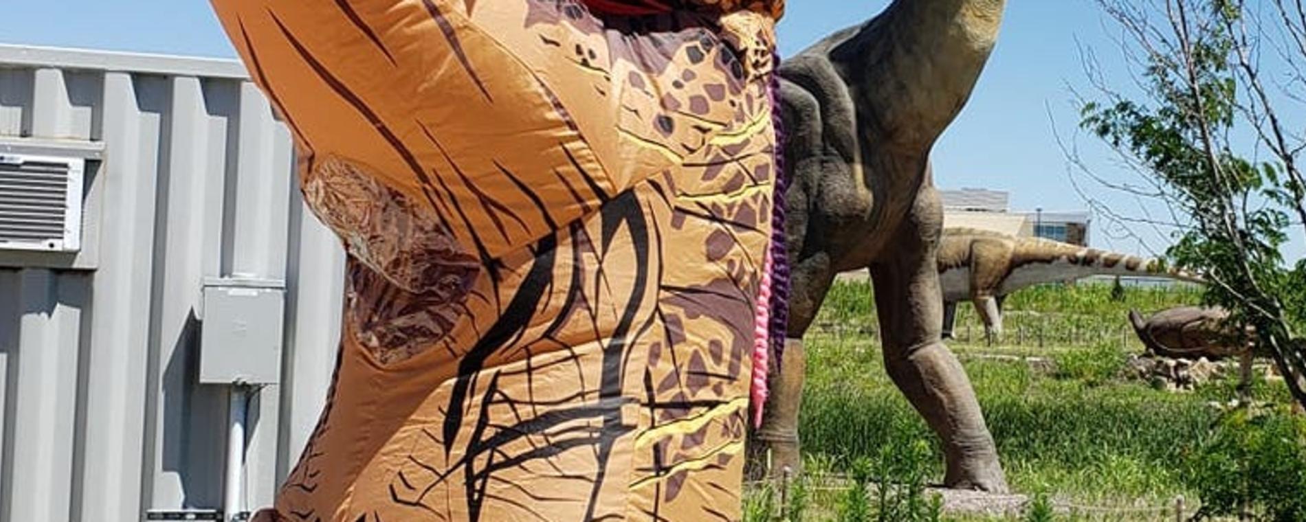 Frolic at the Field Station