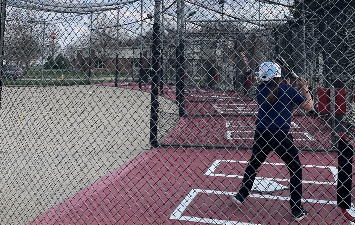 Hole in One Family Fun Batting Cages