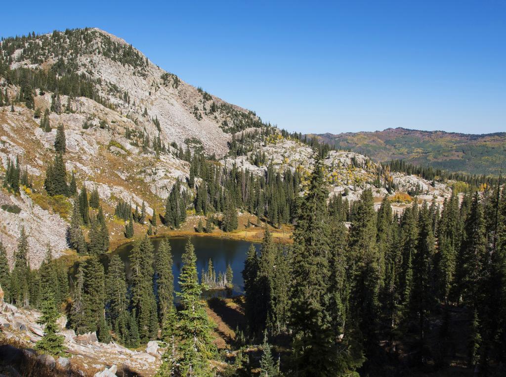 Best hikes in cottonwood canyon sales