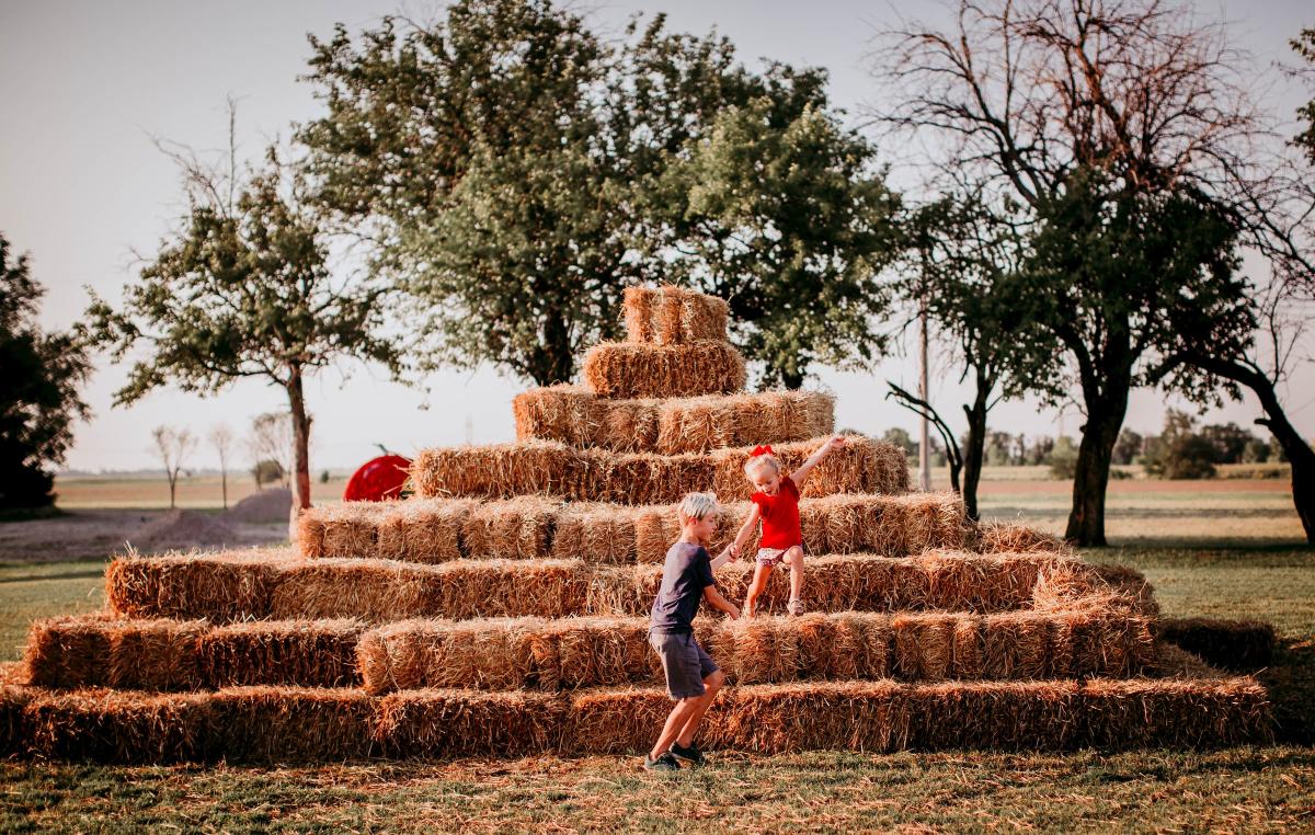 Kids playing on hay tower at cedar creek pumpkin patch
