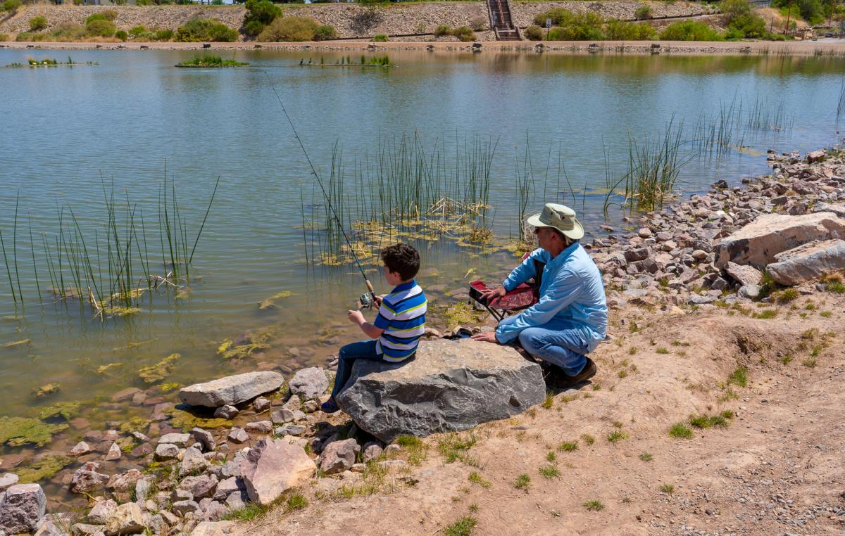 Two people are sitting by the edge of a pond on a rocky shore. One person is holding a fishing rod, and the other is sitting nearby, wearing a hat. The pond is surrounded by reeds, grass and dirt.