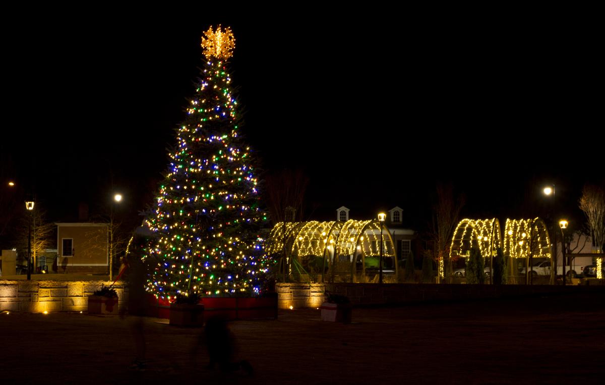 Christmas Tree in Park