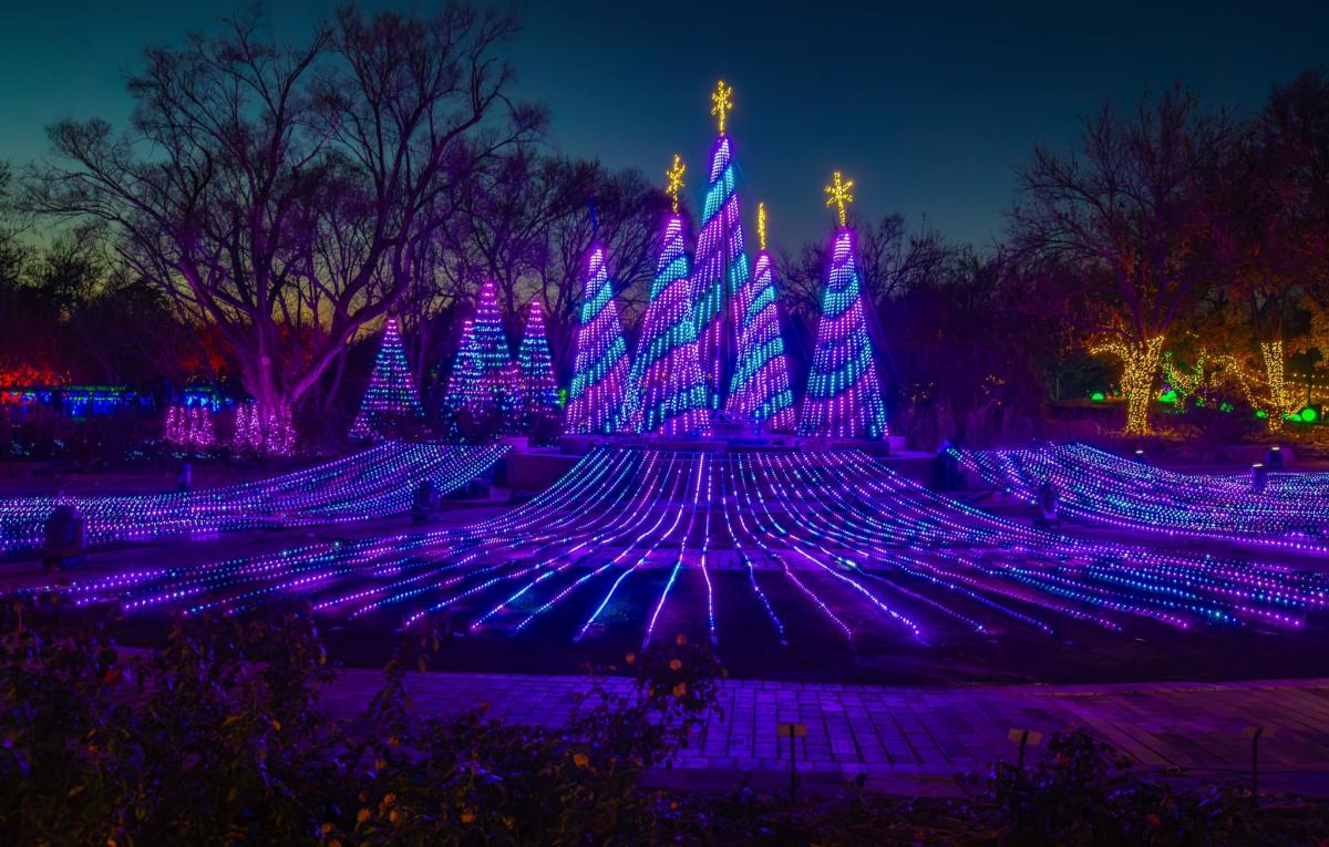 Blue and green lights illuminate a cluster of large tree sculptures at Illuminations at Botanica