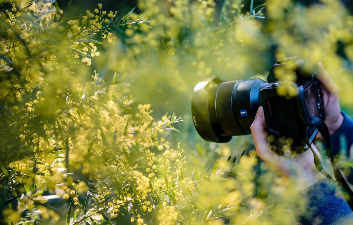 Nature photography at The Woodlands Resort