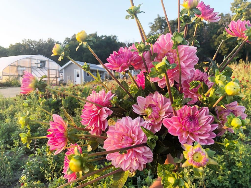 Primary Image - Mother's Day in Galena Country