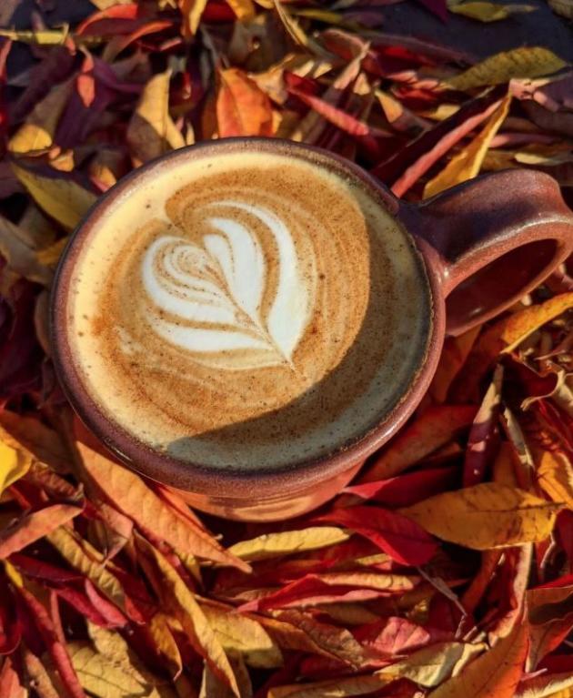 Coffee cup with heart design sat on top of leaves