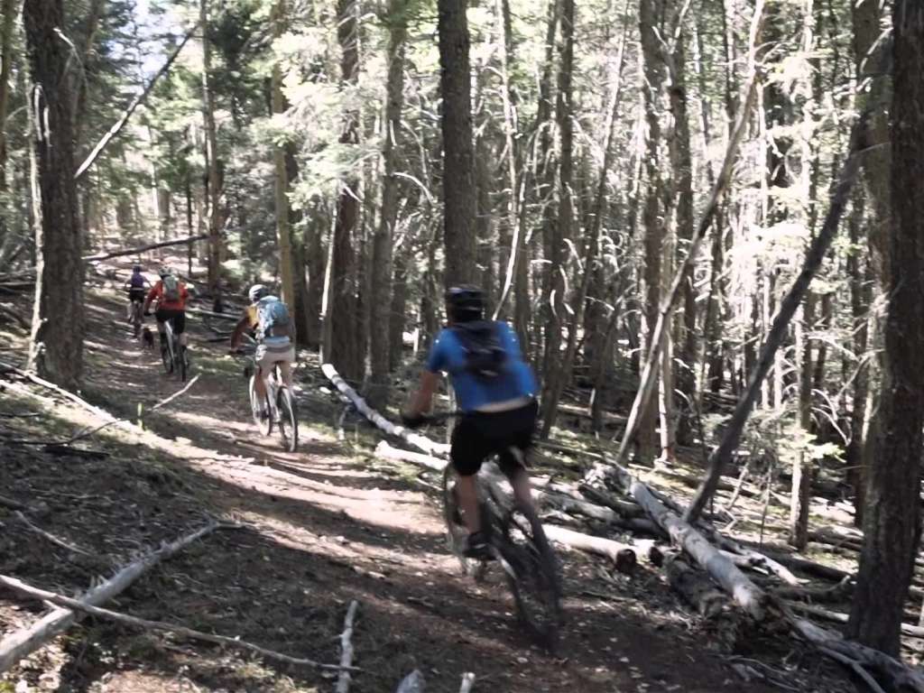 best mountain biking in new mexico