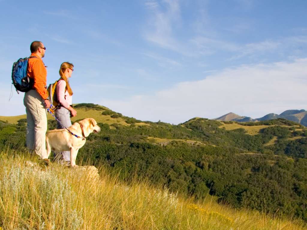 Things To Do In New Mexico | Tourist Attractions | New Mexico True