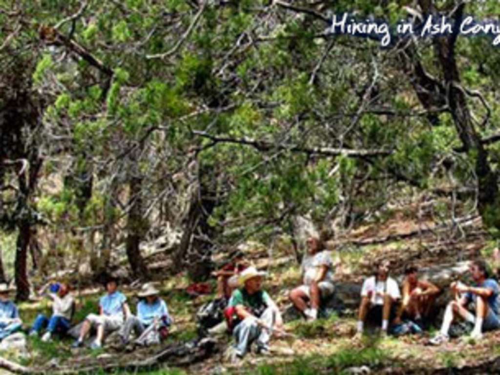 Rodeo New Mexico Map Rodeo - New Mexico Tourism - Travel & Vacation Guide