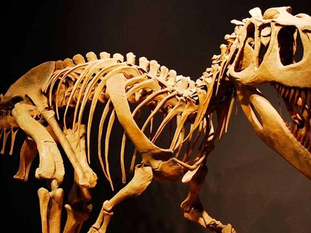 New Mexico's Northeast Region Vacation Destination Spots New Mexico