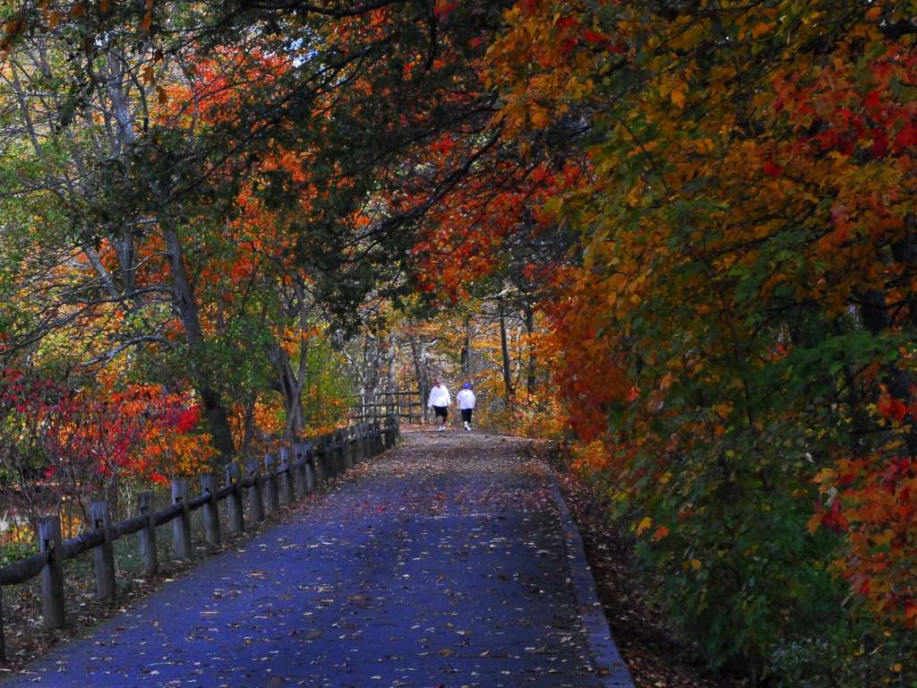 blackstone_bike_path_5.JPG