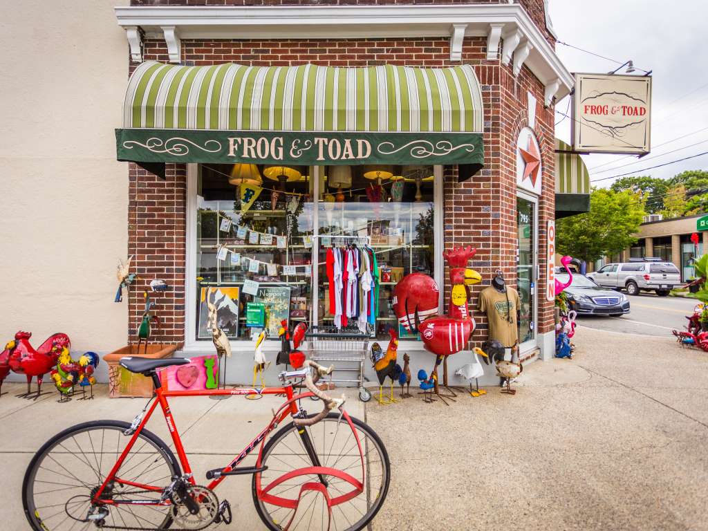 FrogandToad_NMillard_GoProvidence002