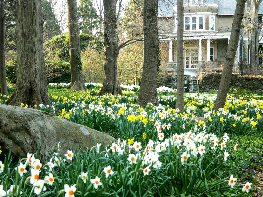 flowers and trees with Blithewold in back