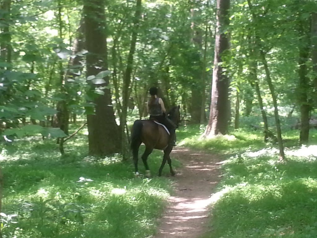 Bull Run Occoquan Trail - NOVA Parks - Horseback