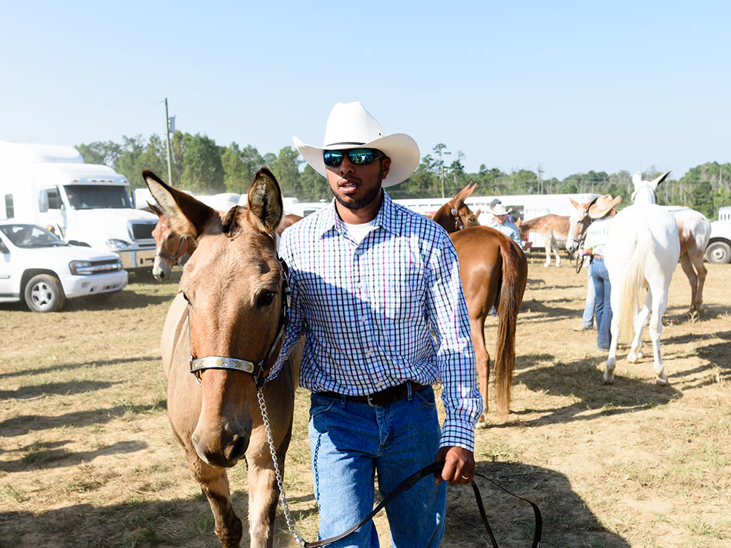 Mule Days Cowboy, Benson, NC.