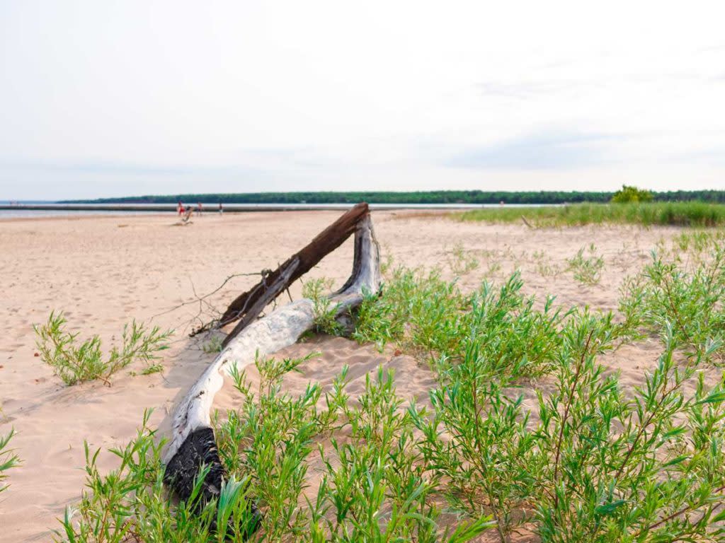 White city beach & park