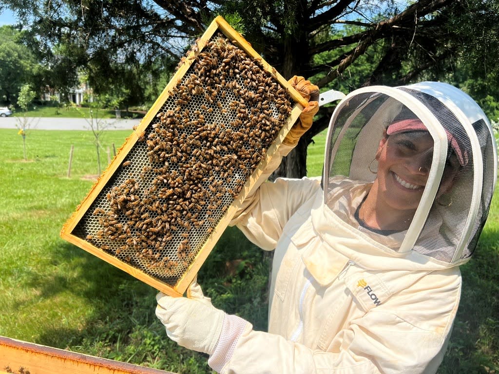Vanessa Escobar in protective gear holds a honeycomb frame filled with bees, at Beacon Hill Honey set against a green landscape with trees.