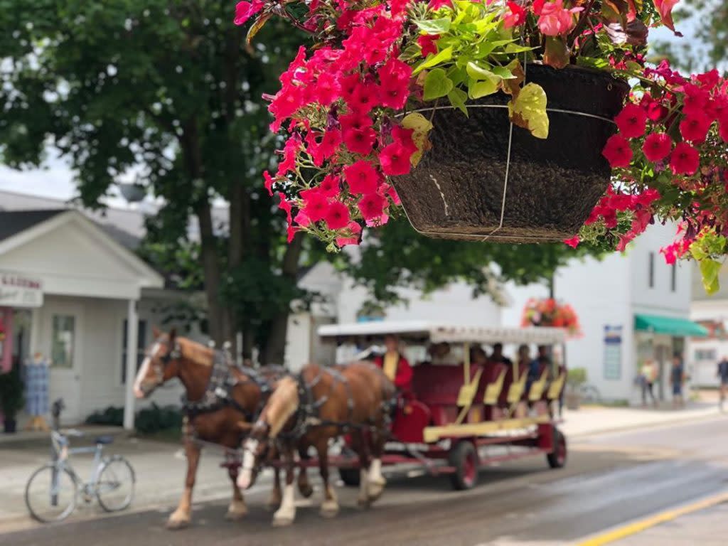 Pot of Flowers Hanging in Focus with Horse-Drawn Carriage in Background