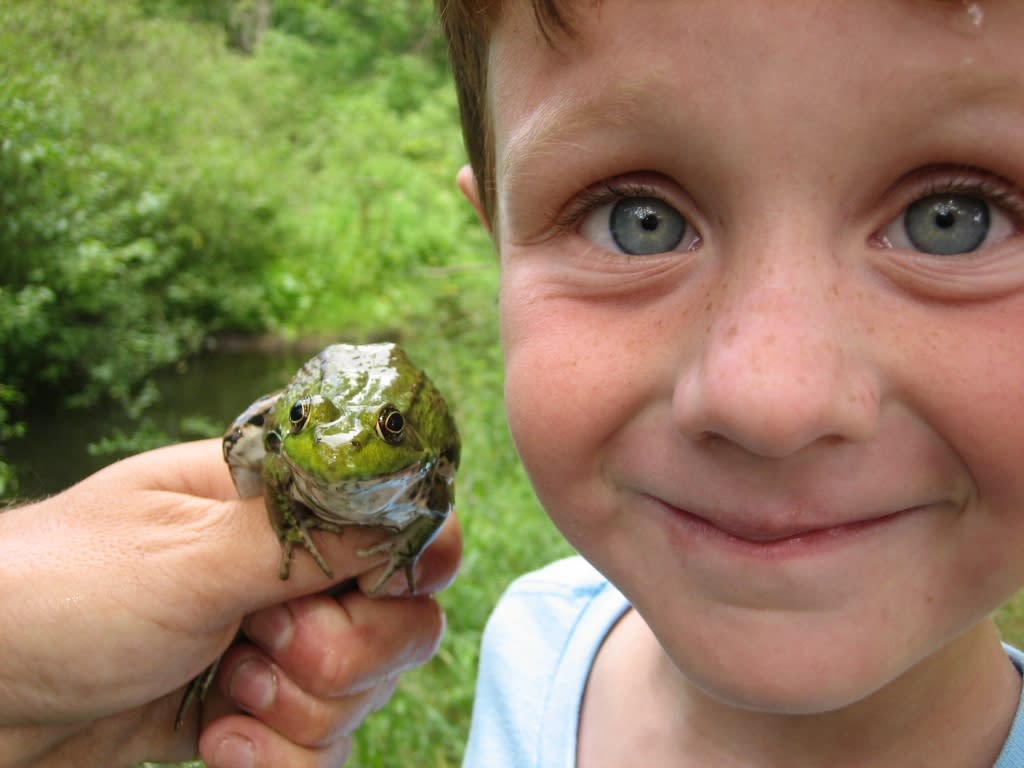 A hand holds a green leopard frog next to the face of a smiling child