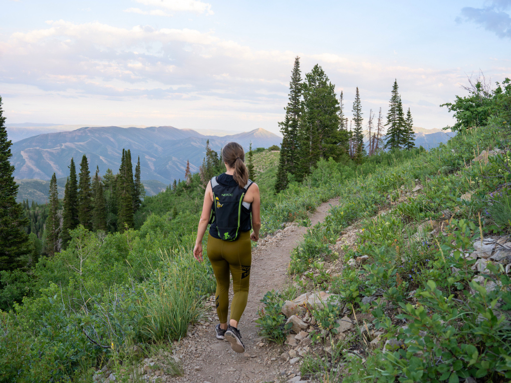 Primrose Overlook Trail