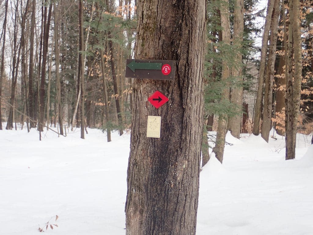 Intersection at Meadowbrook Preserve