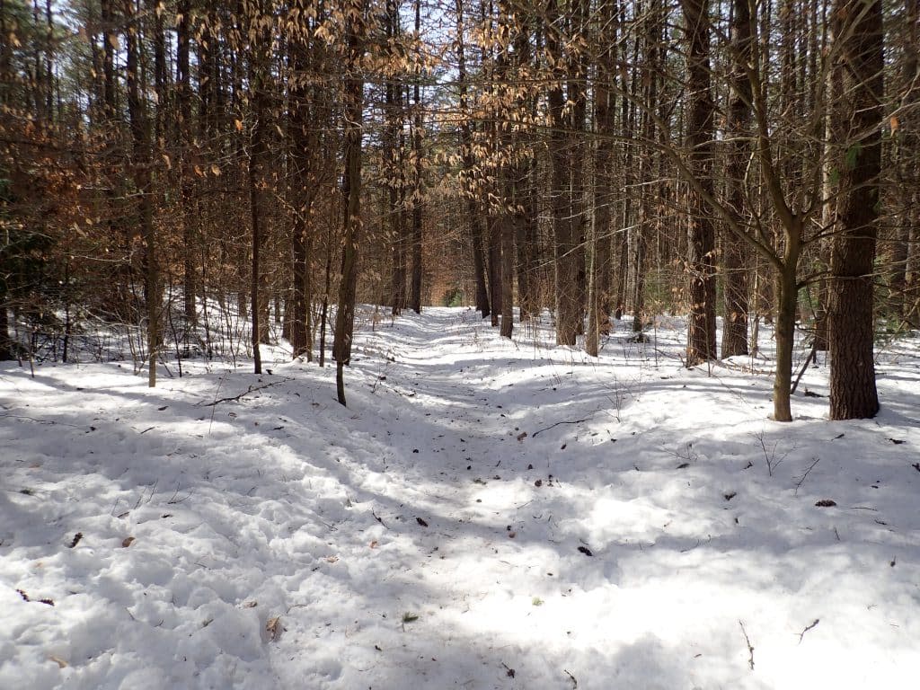 Warren County Nature Trails in winter