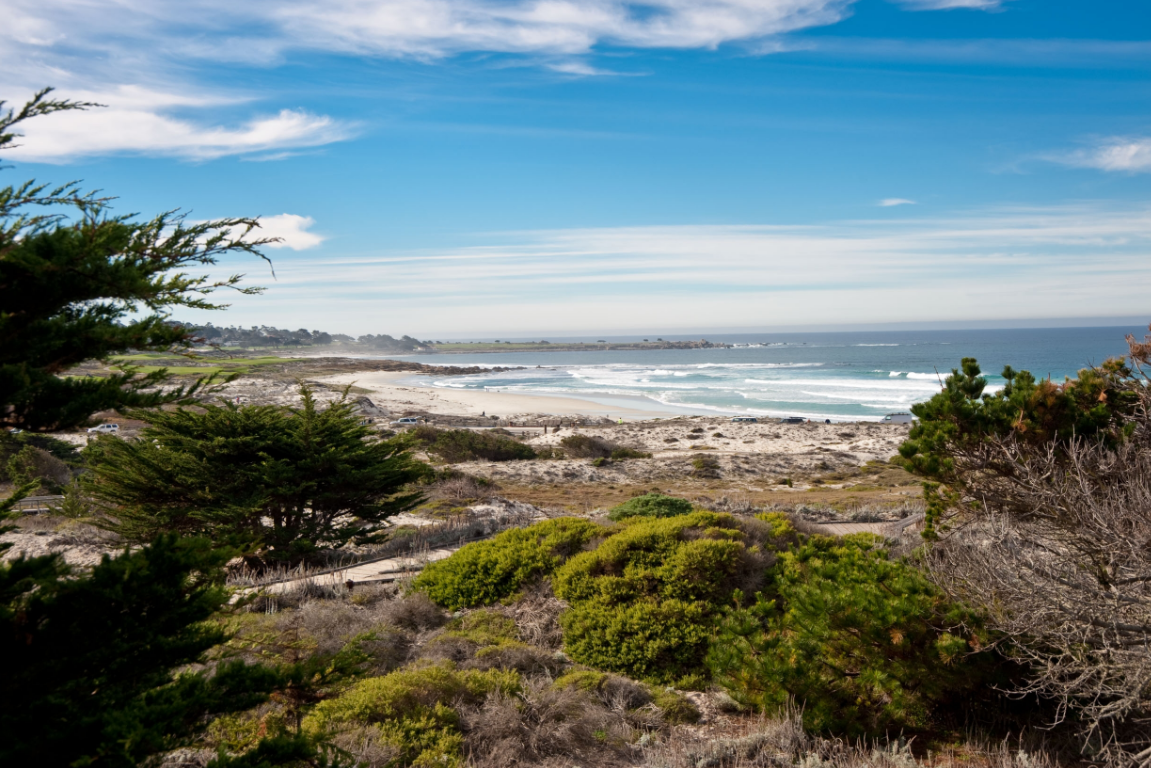 Asilomar Dunes