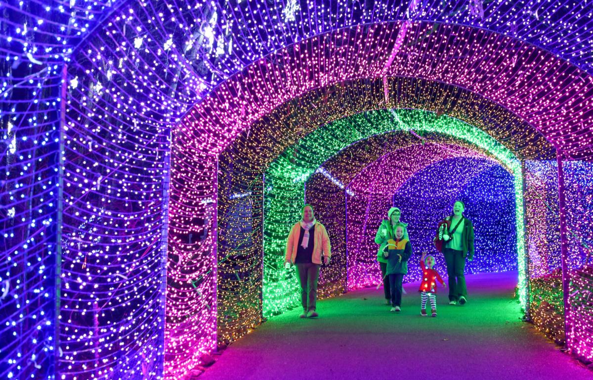 Winter Wonderlights Tunnel