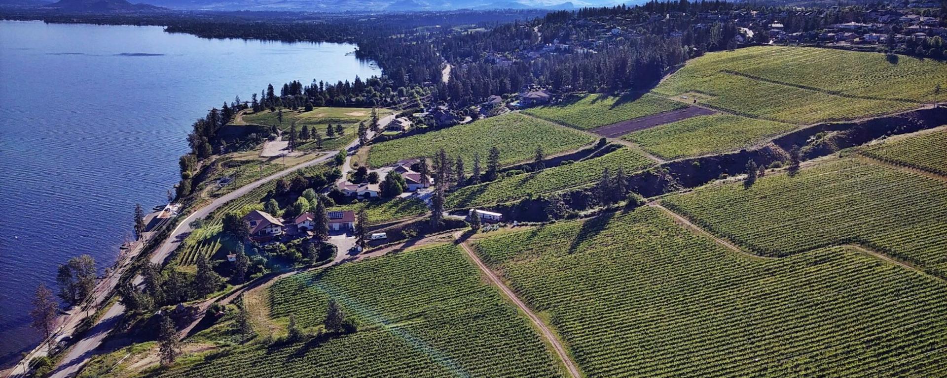 St Hubertus & Oak Bay Vineyard