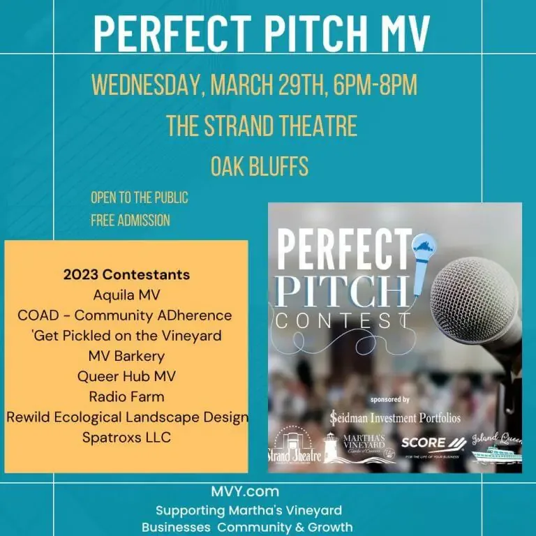 Perfect Pitch MV flyer