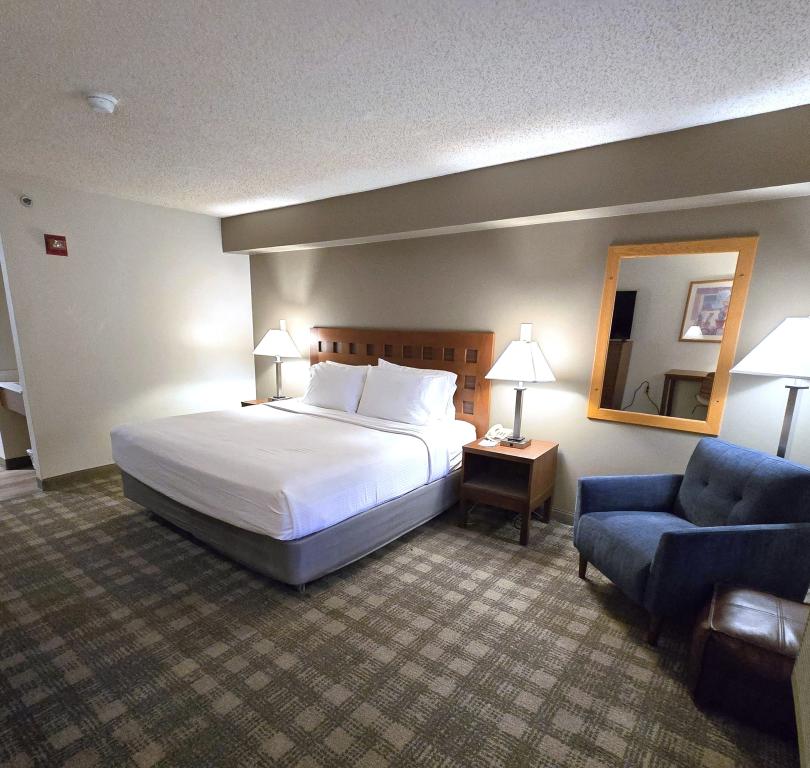 King Guest Room