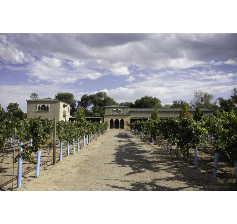 Animante de Rondeña