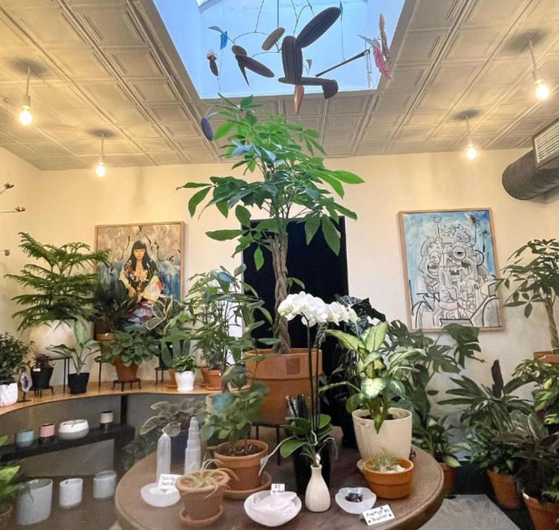 Website