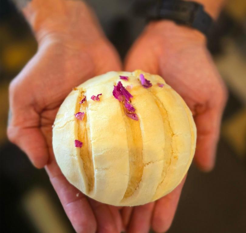 Knead Honey Rose Concha