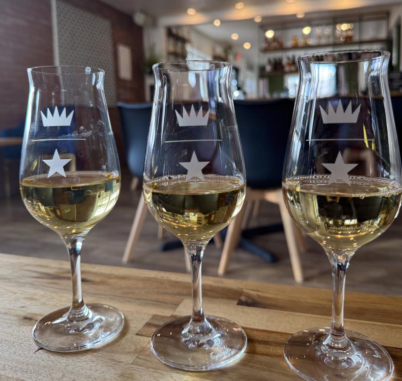 Come in for a flight!