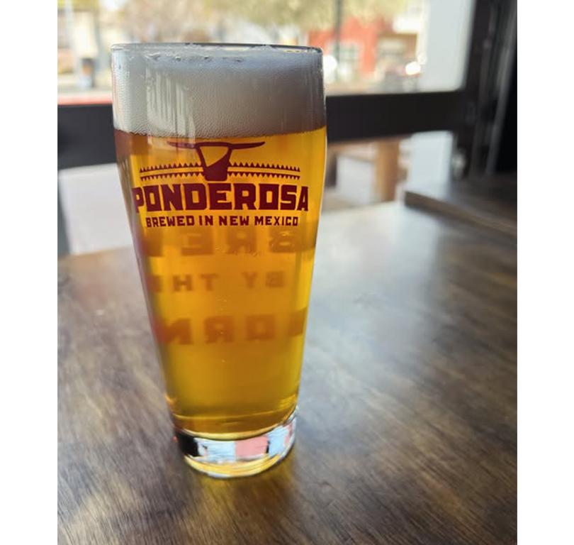 Ponderosa Brewery 2