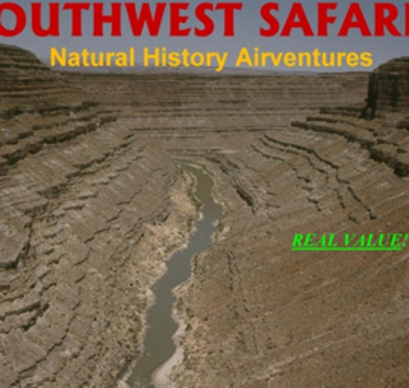Southwest Wing Safaris