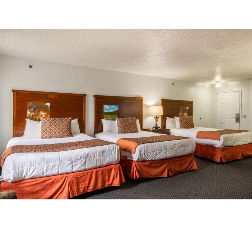 Family Suits 3 Queen Beds