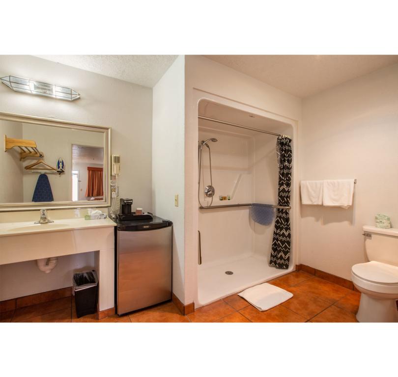 Walk in Shower - Handicap room