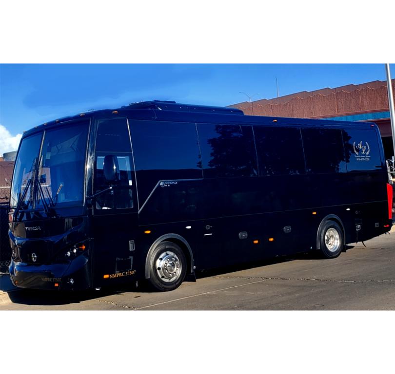 Mini Coach